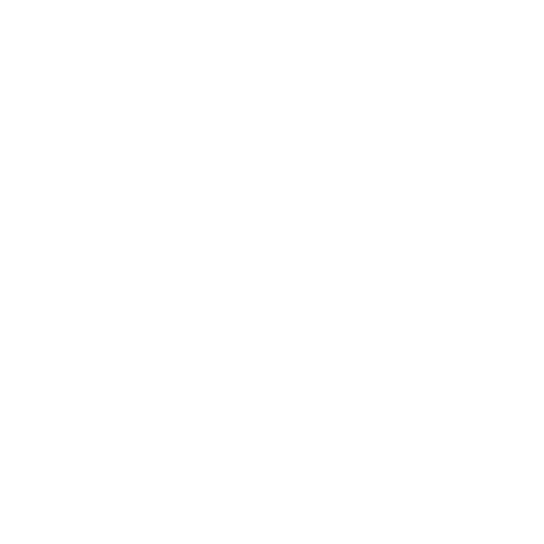 autogidas